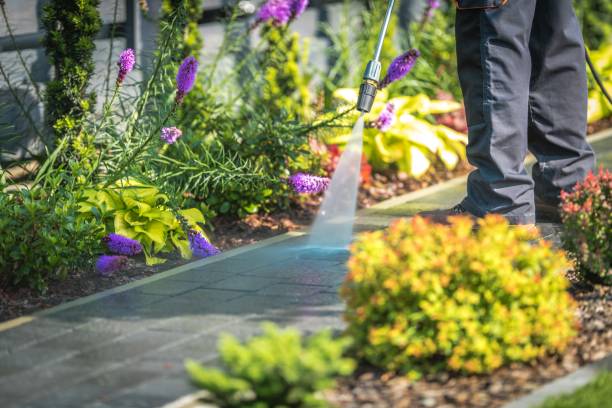 Best Boat and Dock Cleaning  in Good Hope, CA